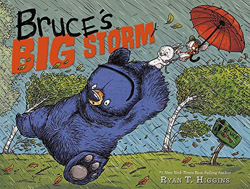 BRUCES BIG STORM              