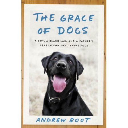 The Grace of Dogs: a Boy, a Black Lab, and a Father's Search for the Canine Soul