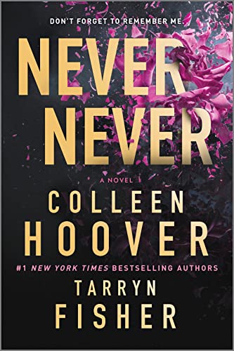 Never Never: A Romantic Suspense Novel of Love and Fate (Original)